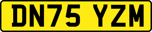 DN75YZM