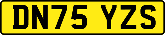 DN75YZS