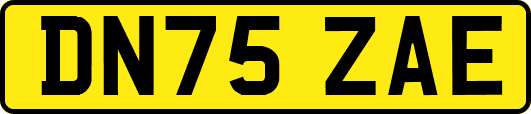 DN75ZAE