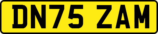 DN75ZAM