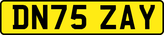 DN75ZAY