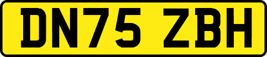 DN75ZBH