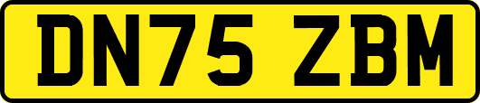 DN75ZBM