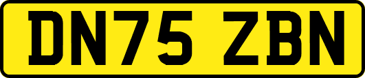 DN75ZBN