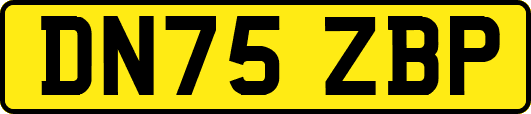 DN75ZBP