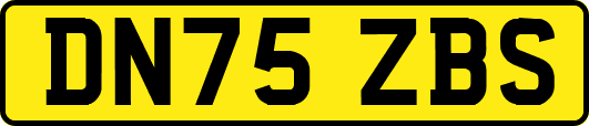 DN75ZBS