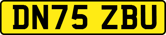 DN75ZBU