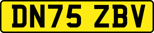 DN75ZBV