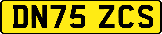DN75ZCS