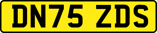 DN75ZDS