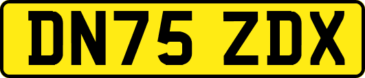 DN75ZDX