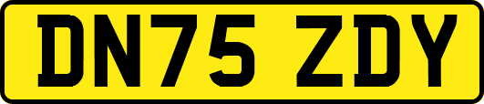 DN75ZDY