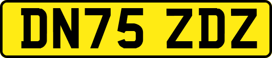 DN75ZDZ