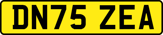 DN75ZEA