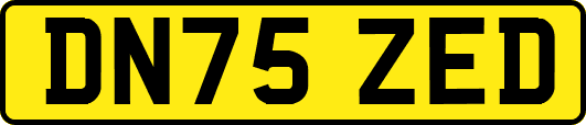 DN75ZED