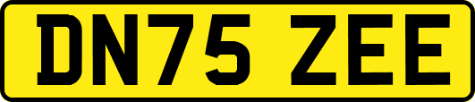 DN75ZEE