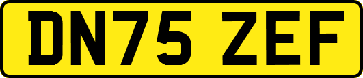 DN75ZEF