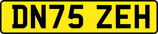 DN75ZEH