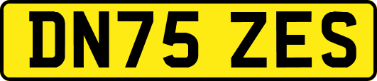 DN75ZES