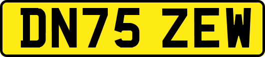 DN75ZEW