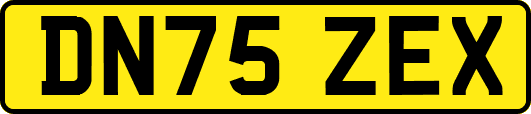 DN75ZEX