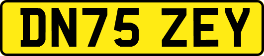 DN75ZEY