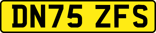 DN75ZFS
