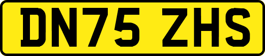 DN75ZHS