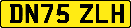 DN75ZLH