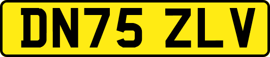 DN75ZLV