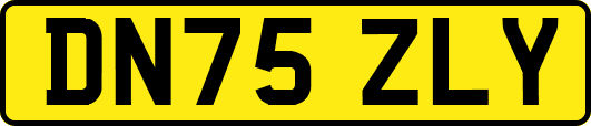 DN75ZLY