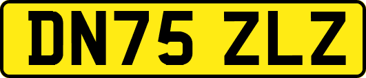 DN75ZLZ