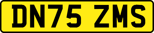 DN75ZMS