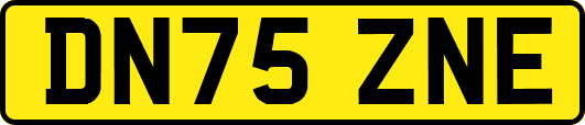 DN75ZNE