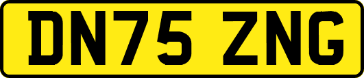 DN75ZNG