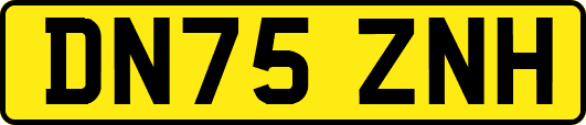 DN75ZNH