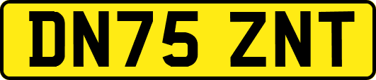 DN75ZNT