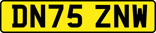 DN75ZNW