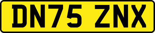 DN75ZNX