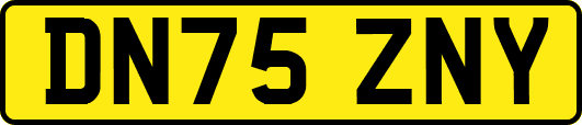 DN75ZNY