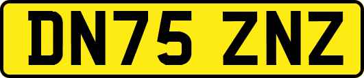 DN75ZNZ