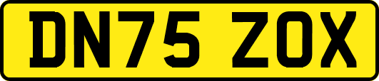 DN75ZOX