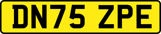 DN75ZPE