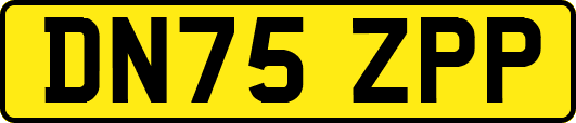 DN75ZPP