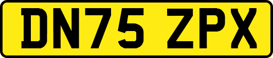 DN75ZPX