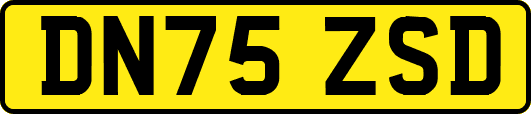DN75ZSD