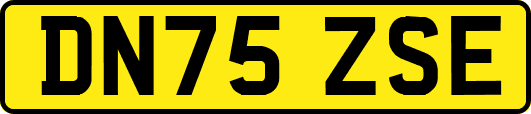 DN75ZSE
