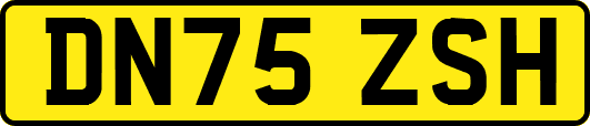 DN75ZSH