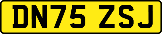 DN75ZSJ