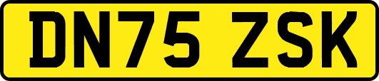 DN75ZSK